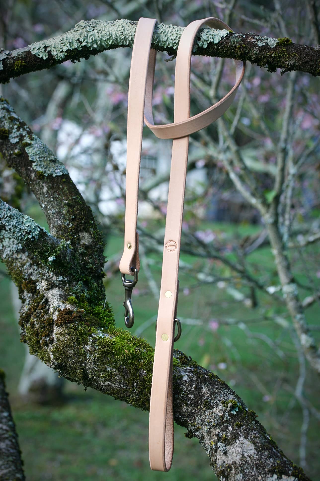 Premium Leather Dog Leash wrapped on tree branch